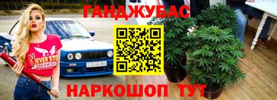 apvp Лесосибирск
