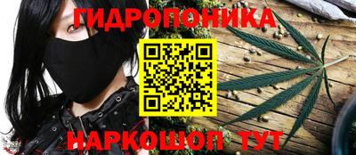 apvp Лесосибирск