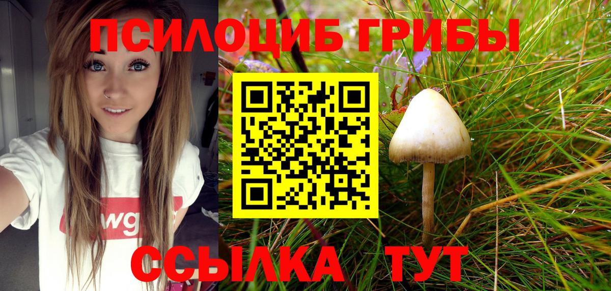 Псилоцибиновые грибы MAGIC MUSHROOMS  Галлюциногенные грибы MAGIC MUSHROOMS  Избербаш  Вход с VPN 